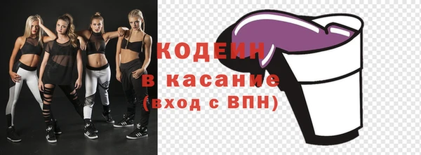 меф Дмитриев