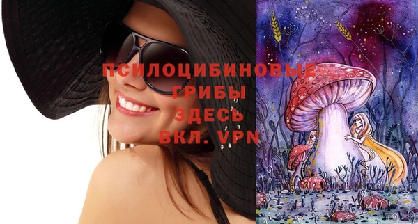 мдпв Дмитров