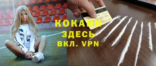 мдпв Дмитров
