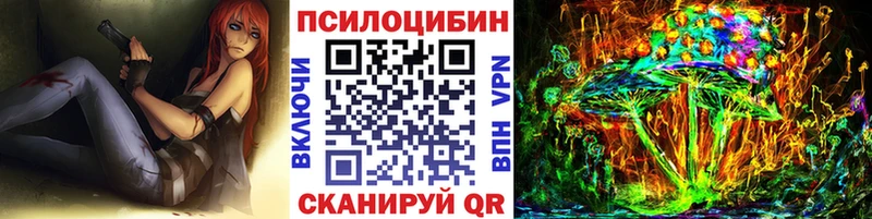 Купить  Балабаново  Галлюциногенные грибы Psilocybe 